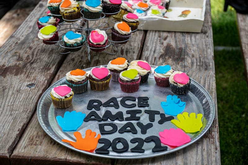 Northbrook Race Amity Day Picnic Picture